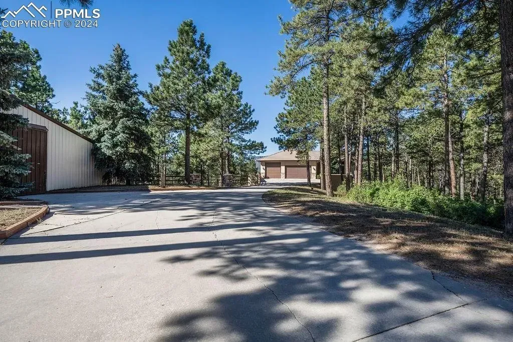 A concrete driveway leading to a house surrounded by trees