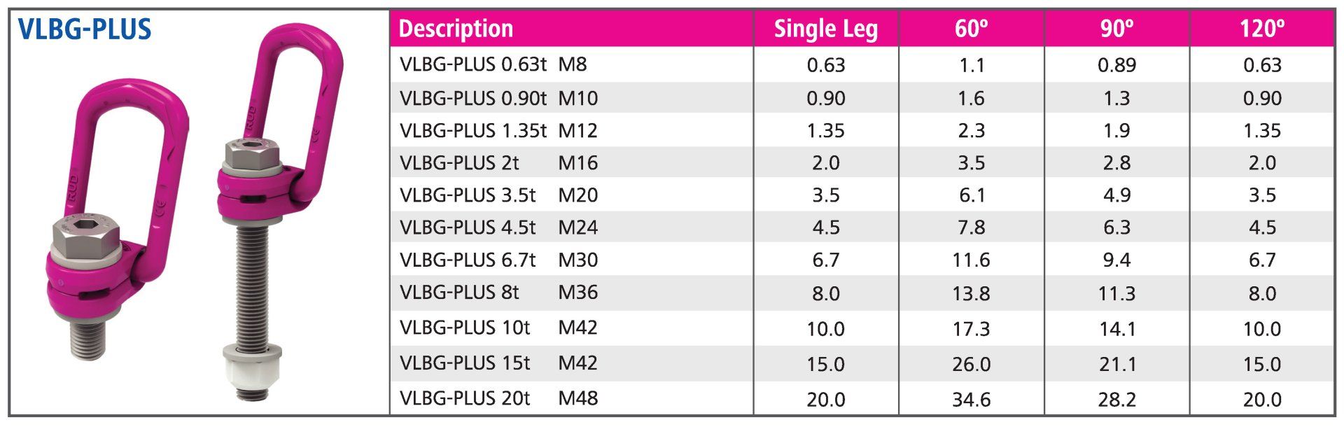 VLBG-Plus