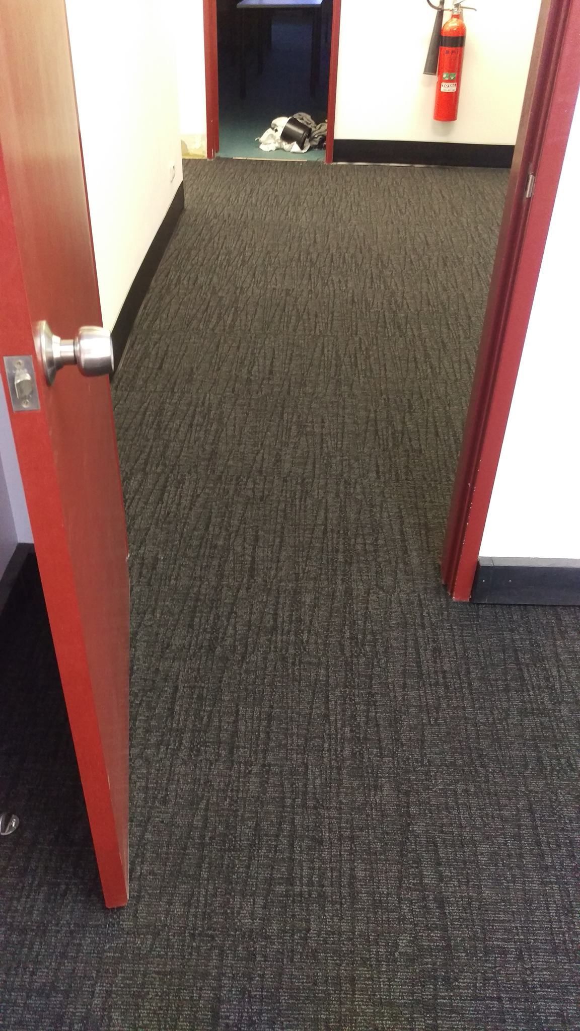 A dog is laying on the floor in a hallway next to a door