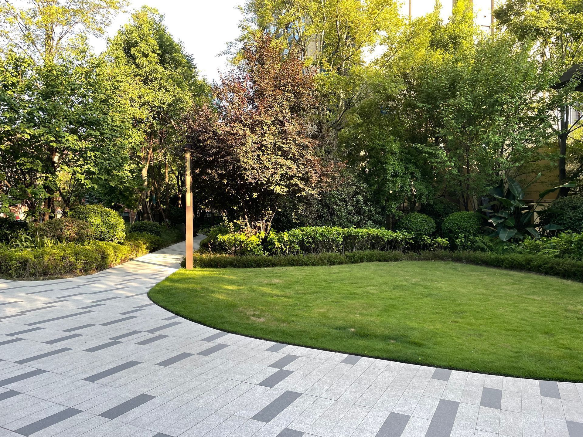 Lush green lawn with curved walkway and trees, bathed in sunlight.
