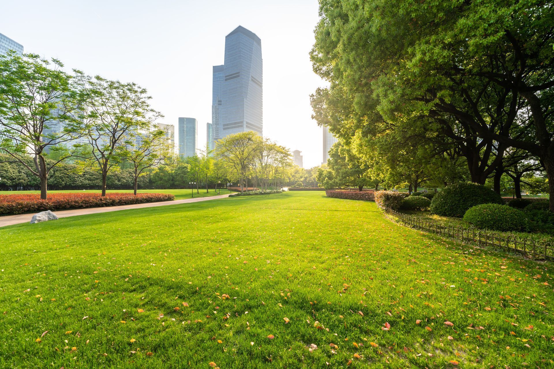 Green park with lush grass, trees, and city skyscrapers in the background on a sunny day.
