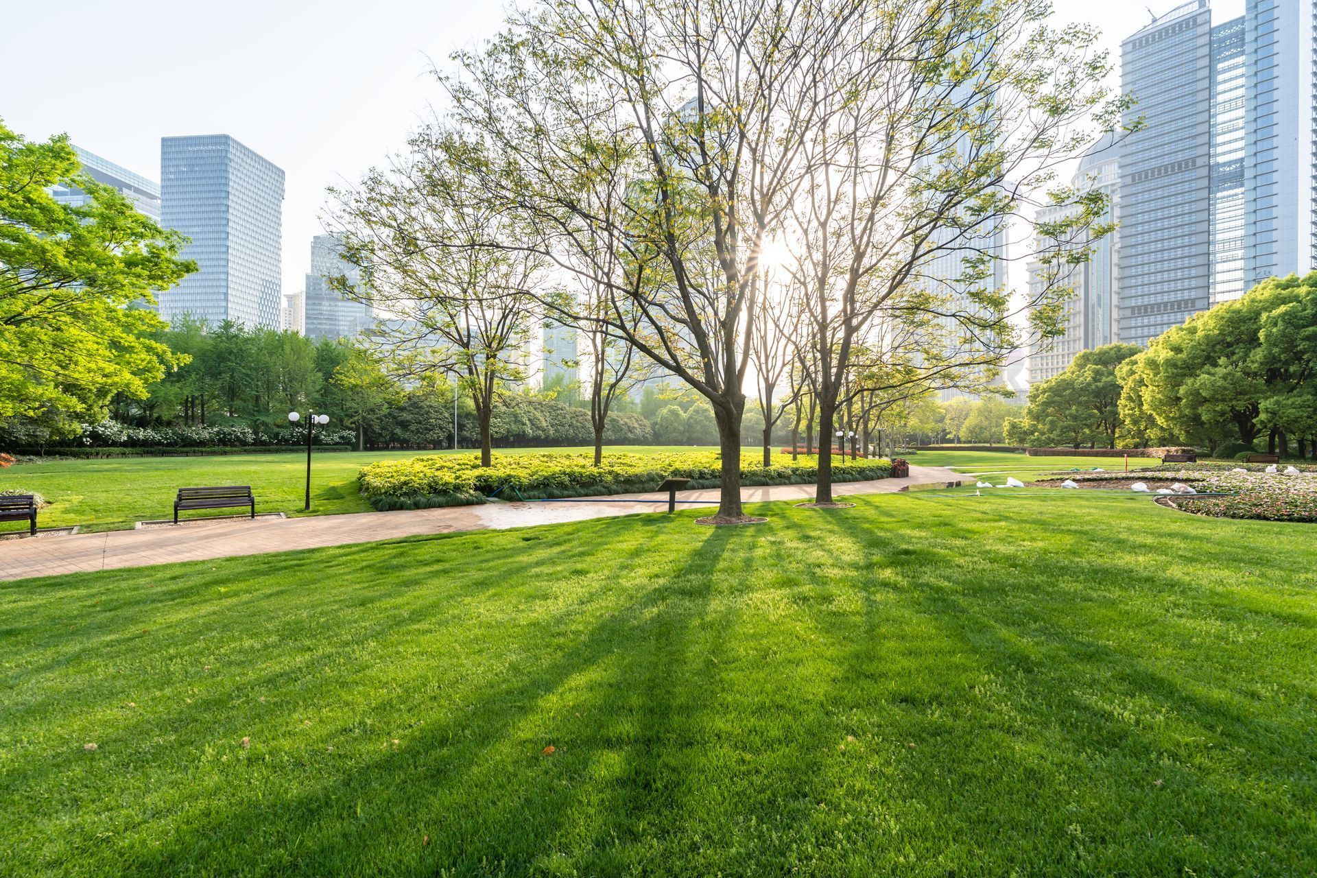 Green park with trees, pathways, and benches; skyscrapers in the background on a sunny day.