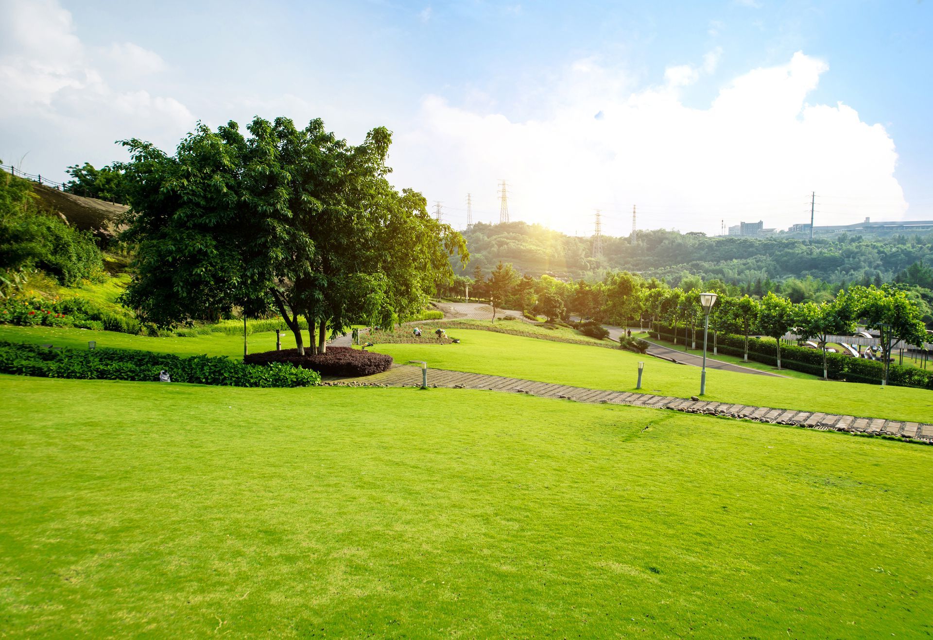 Green lawn with a tree, stone path, and trees in the background under a bright sky.