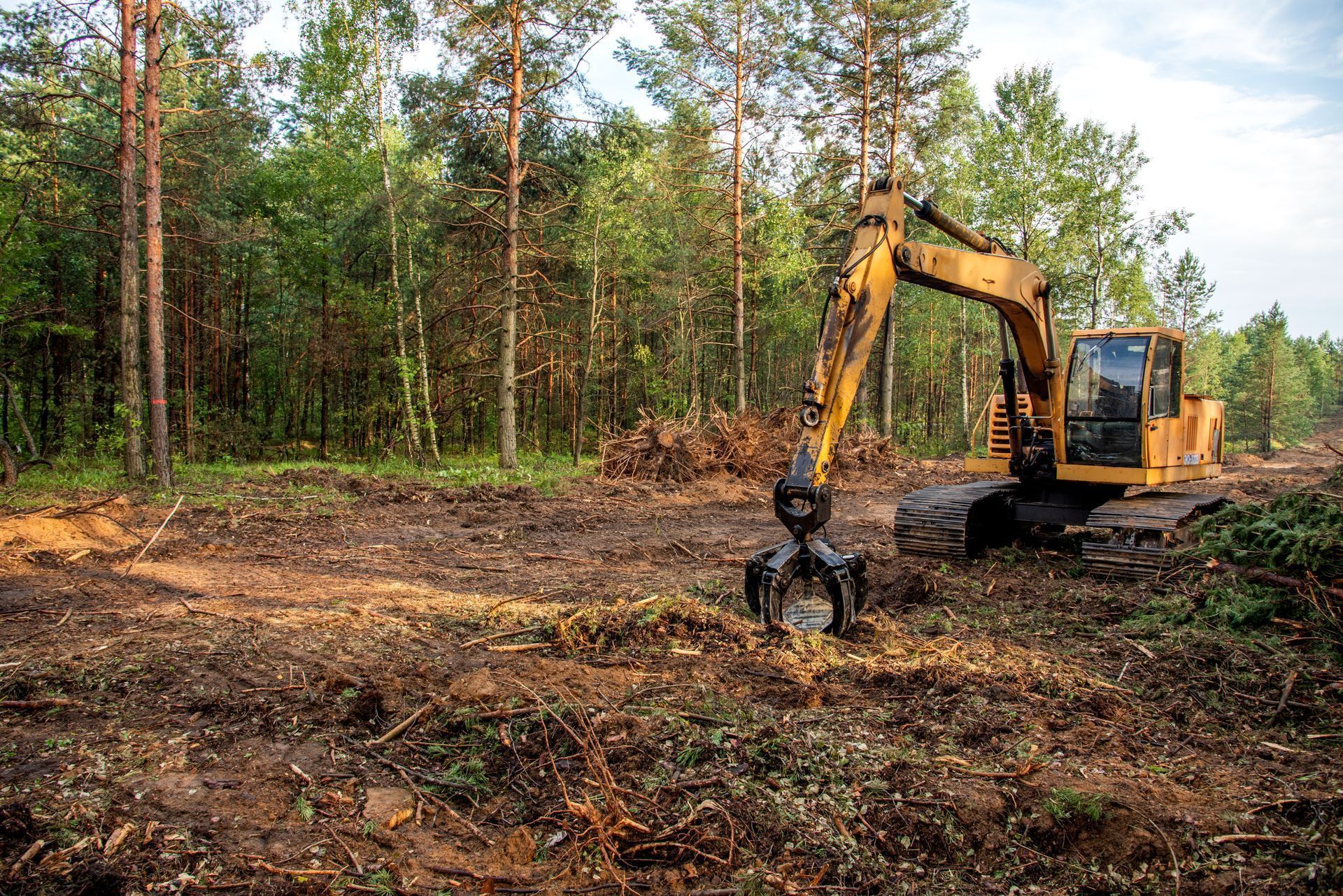 Yellow excavator clearing trees in a forest.