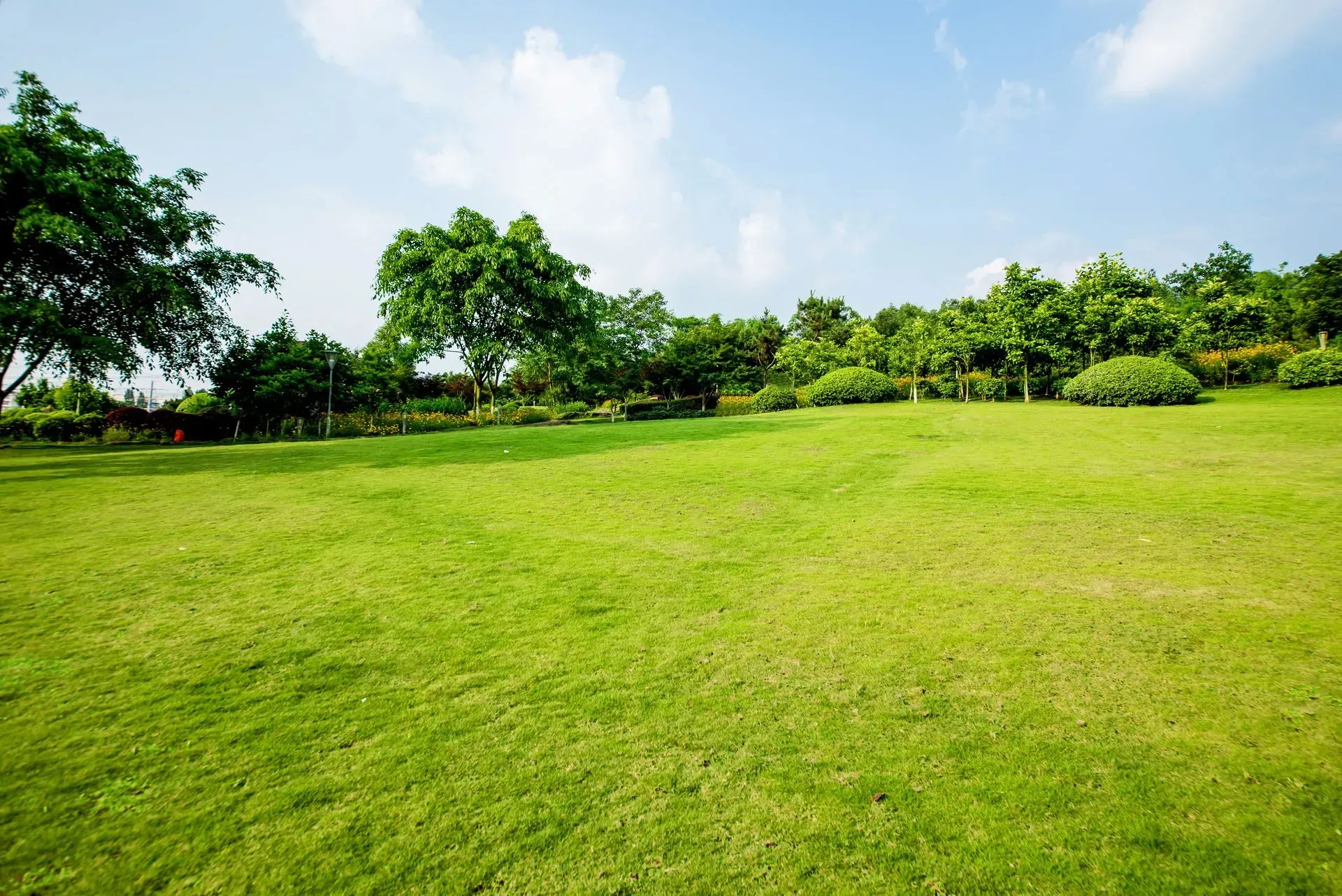 Curved lawn edge with tan gravel, green shrubs, and large rocks in a landscaped garden