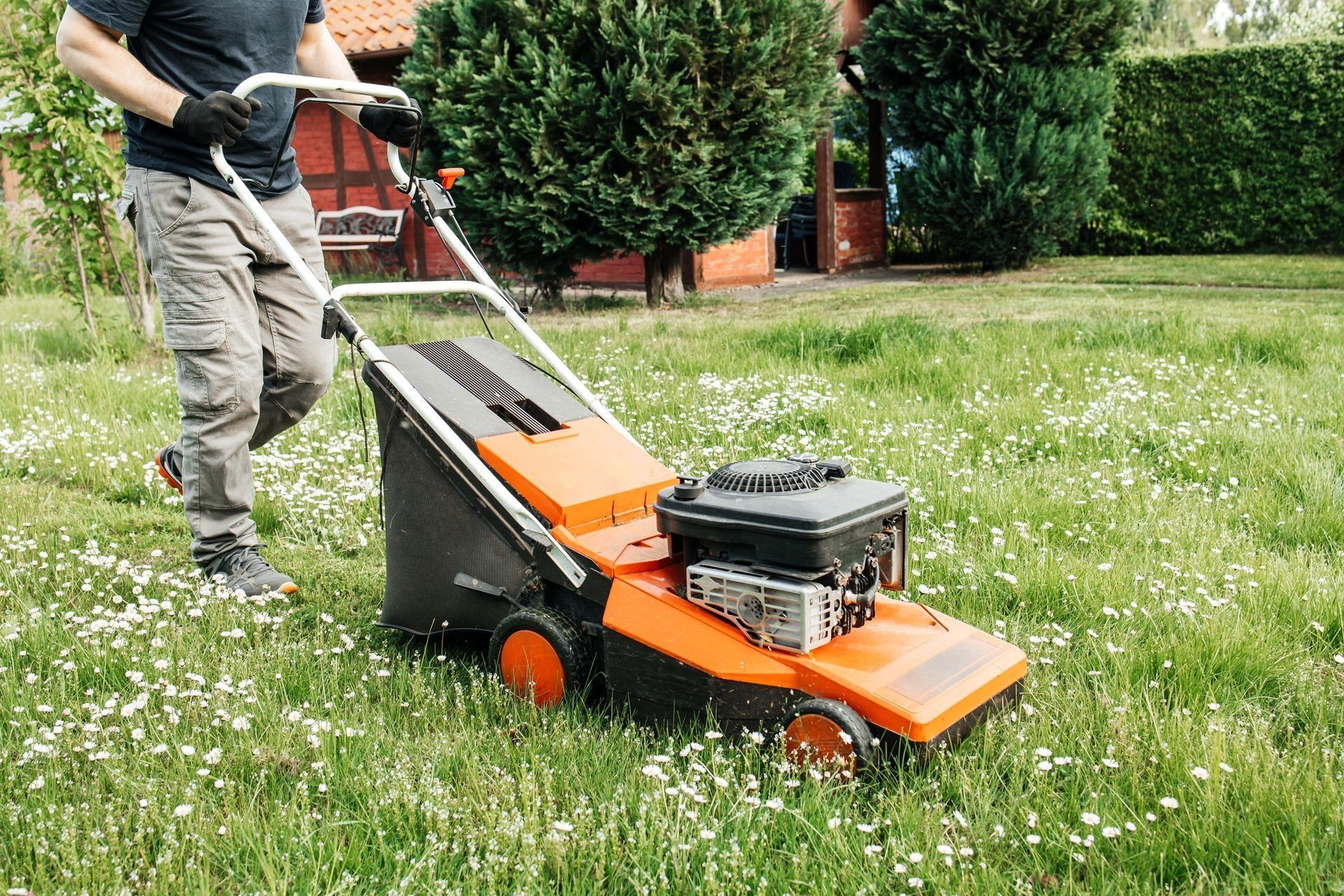 Person mowing a grassy lawn with a push mower.