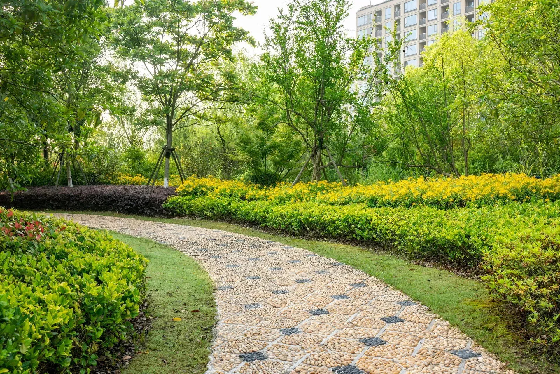 Curved gravel path through a lush green park with yellow flowers and trees in Columbus, GA.