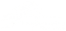 Text in white on a white background.