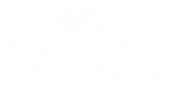 Text on white background, too blurry to discern words.