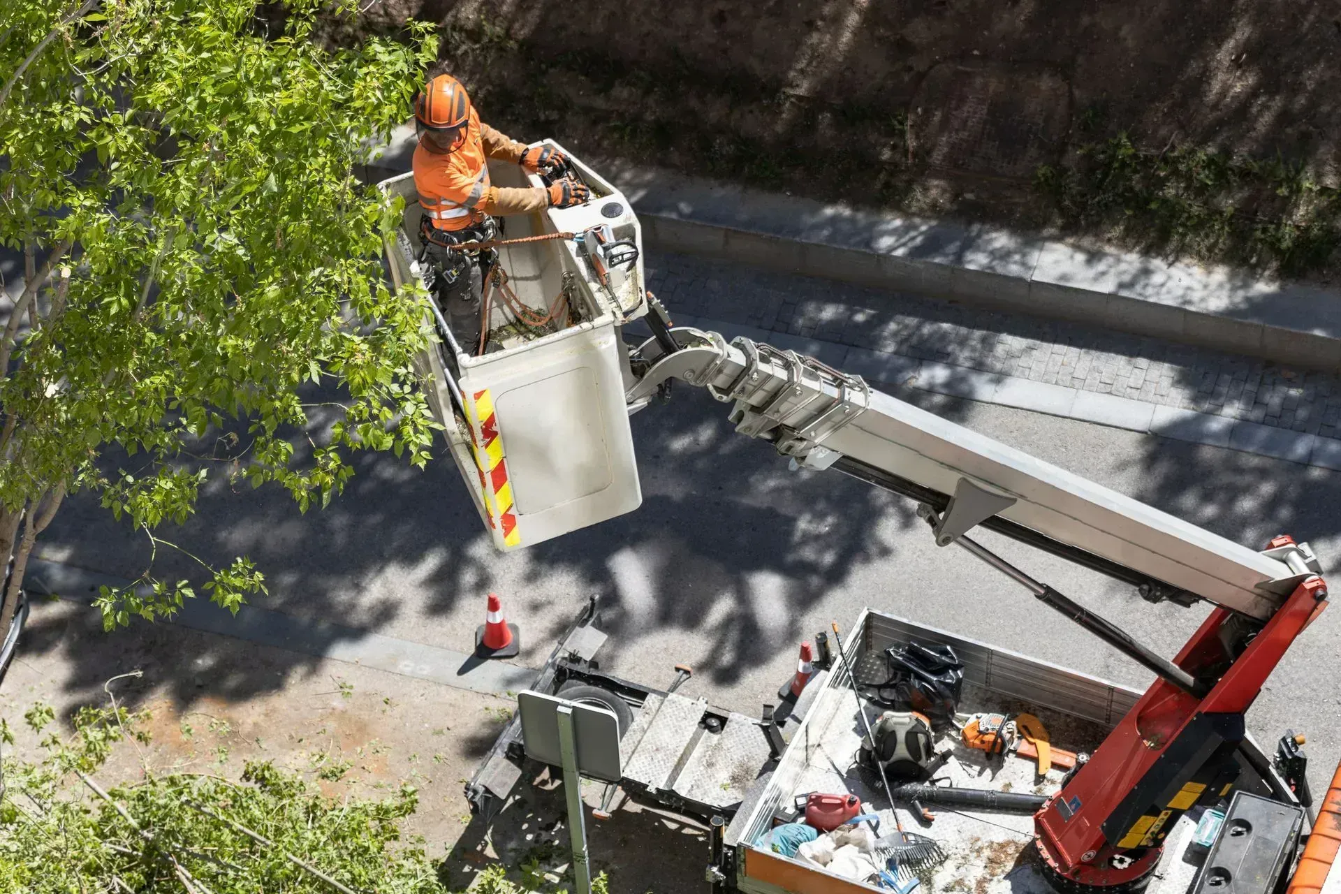 Person in lift bucket trimming tree branches, parked on a street. Bright orange safety vest visible.