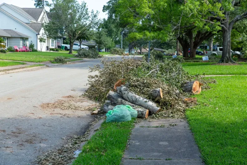 A street with debris from cut trees piled on the curb, houses and trees in the background.