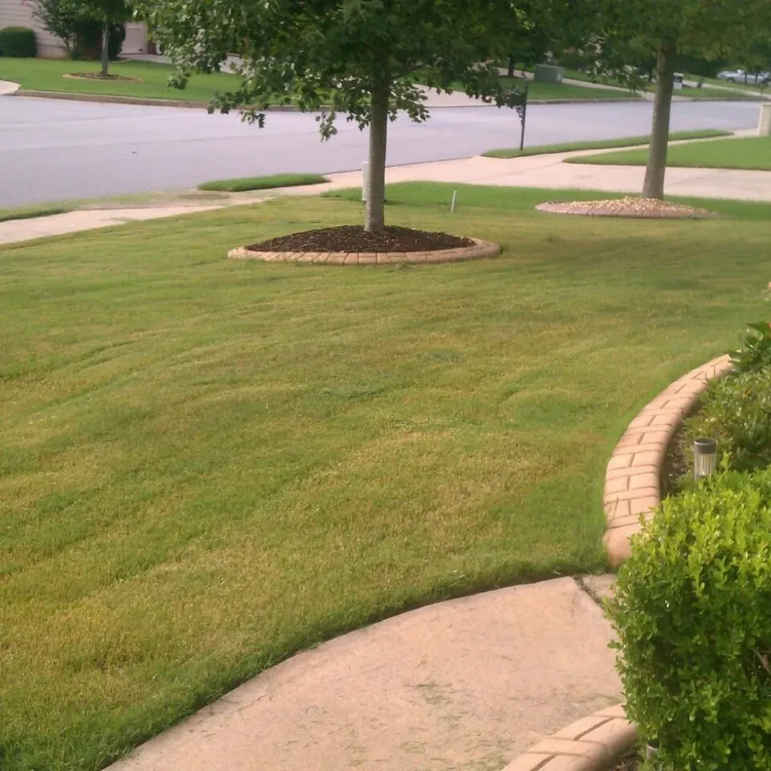 Yard trends in Columbus, GA Yard trends in Columbus, GA