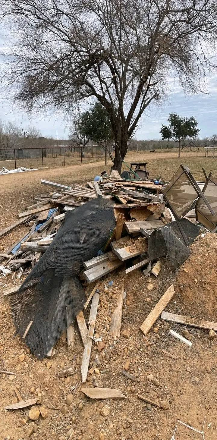Burned debris and scrap wood in a dry yard beneath a leafless tree
