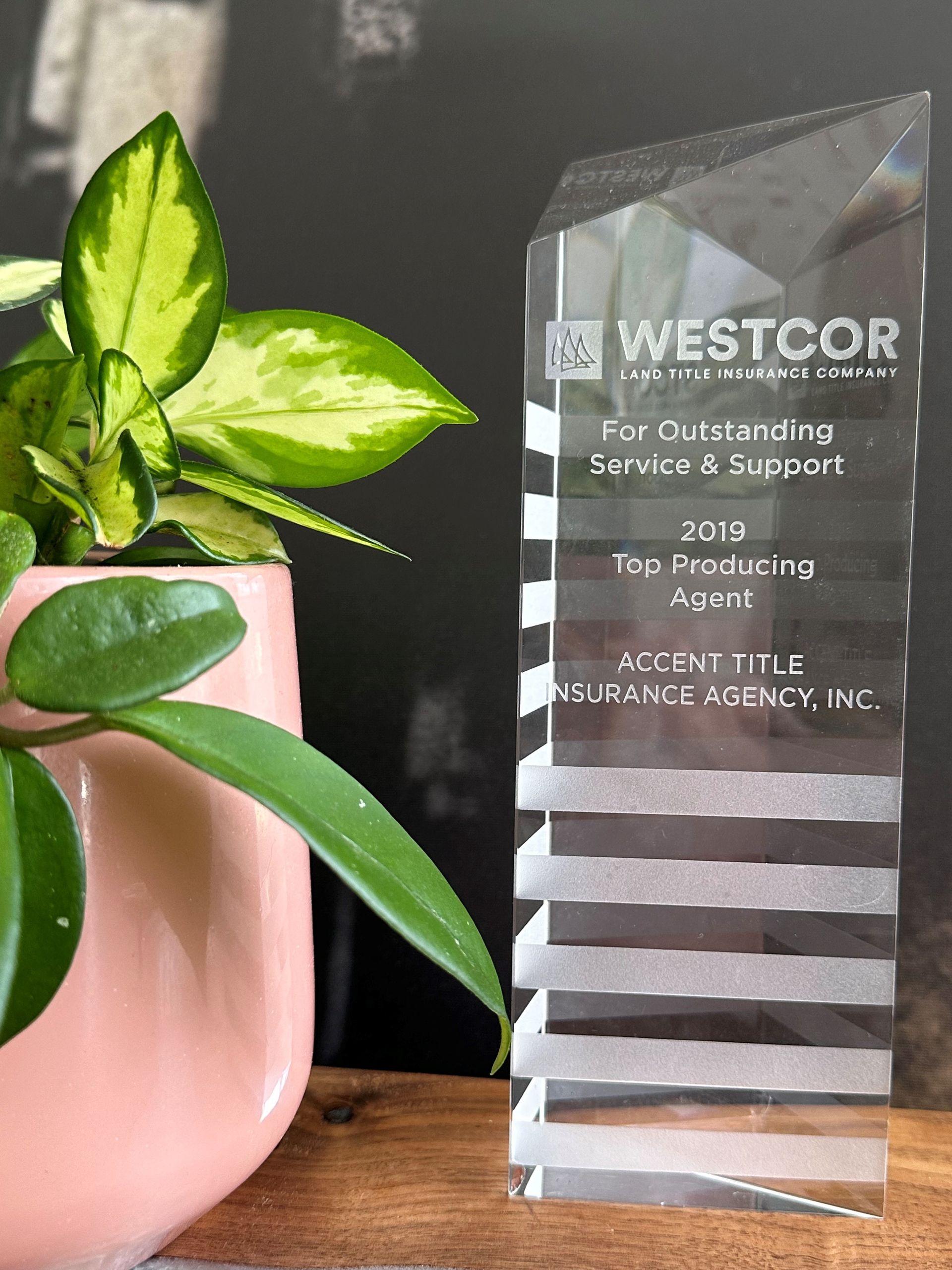 A trophy is sitting on a table next to a potted plant.