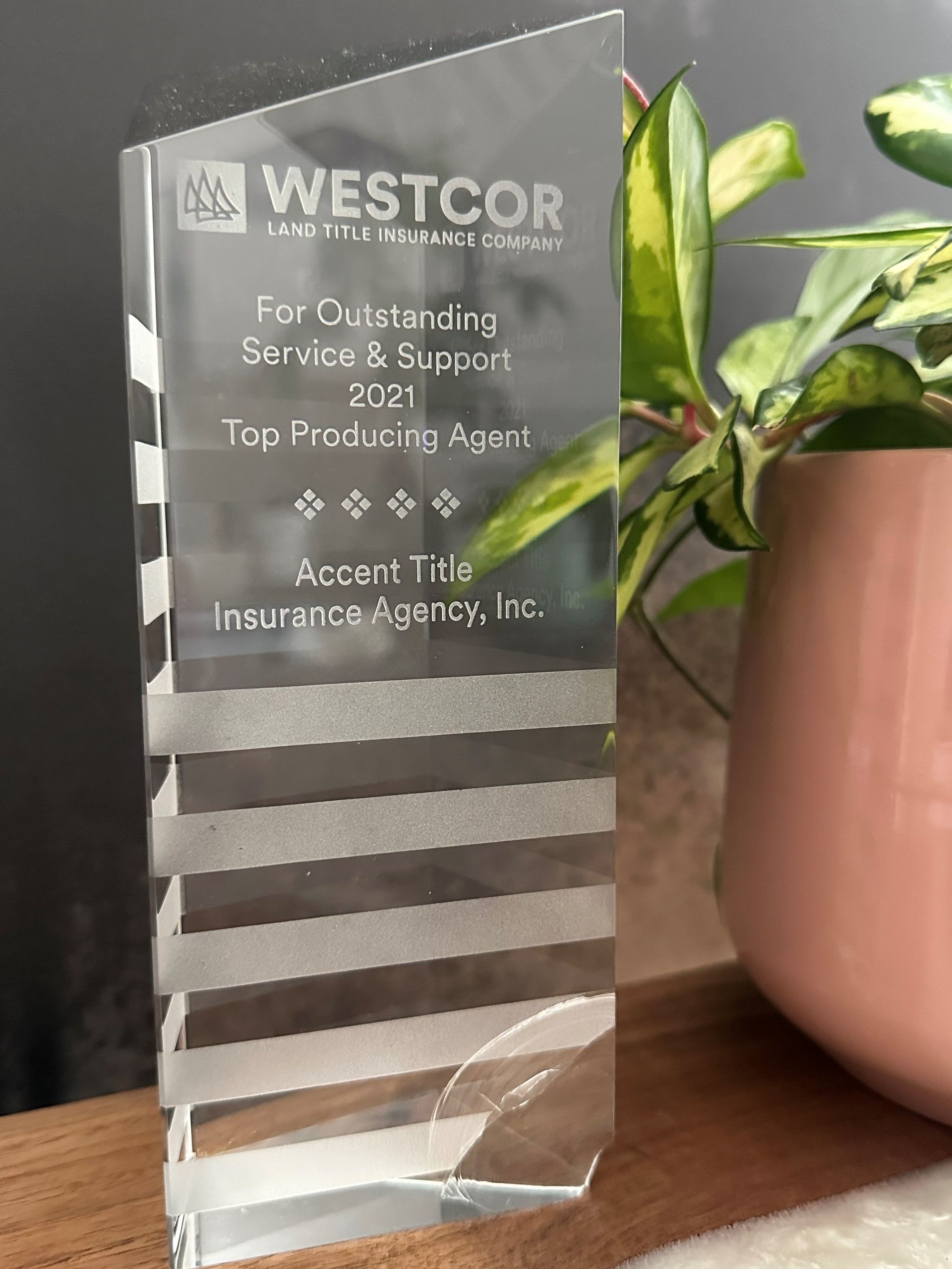 A trophy is sitting on a table next to a potted plant.