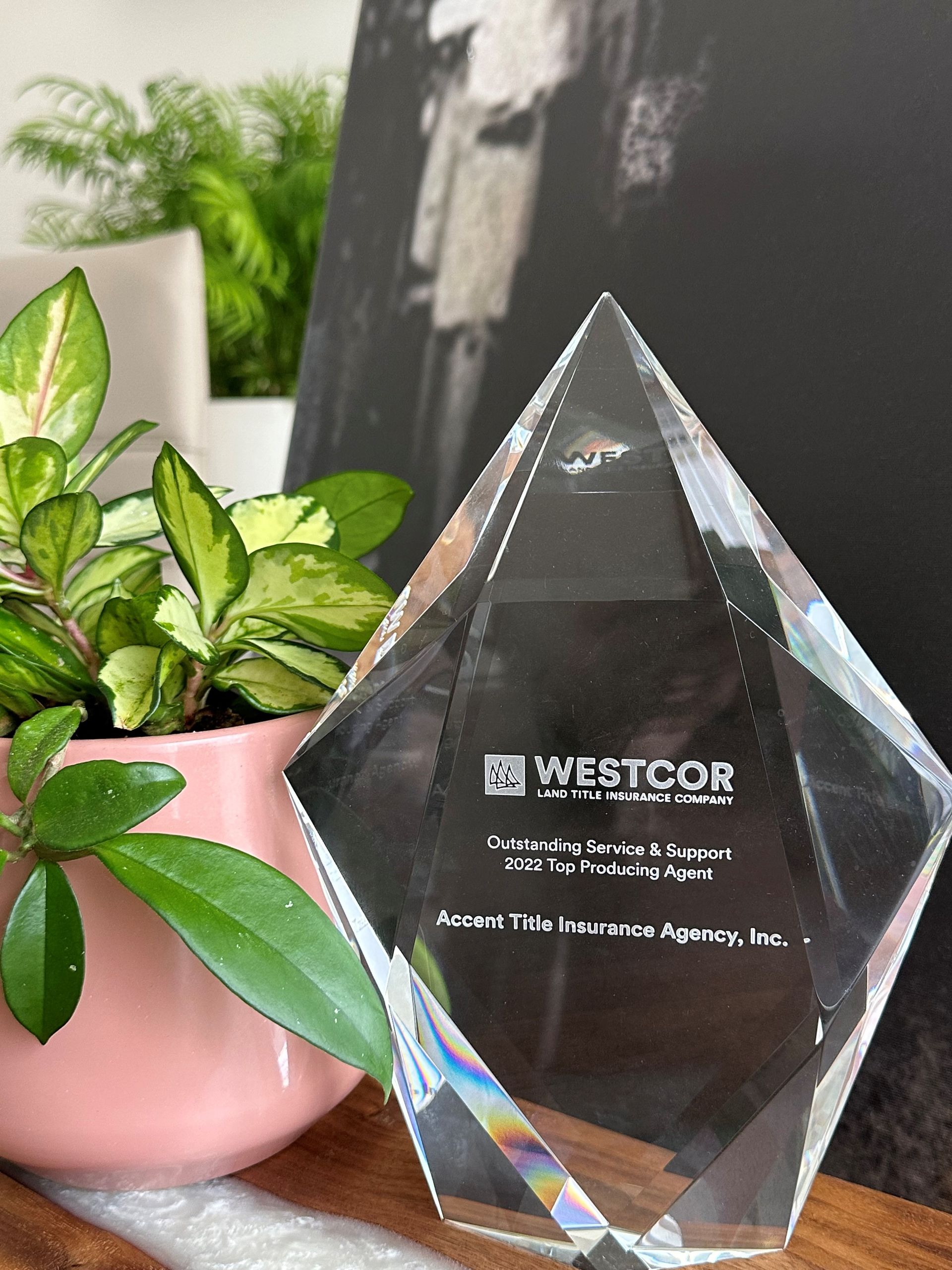 A glass trophy is sitting on a table next to a potted plant.