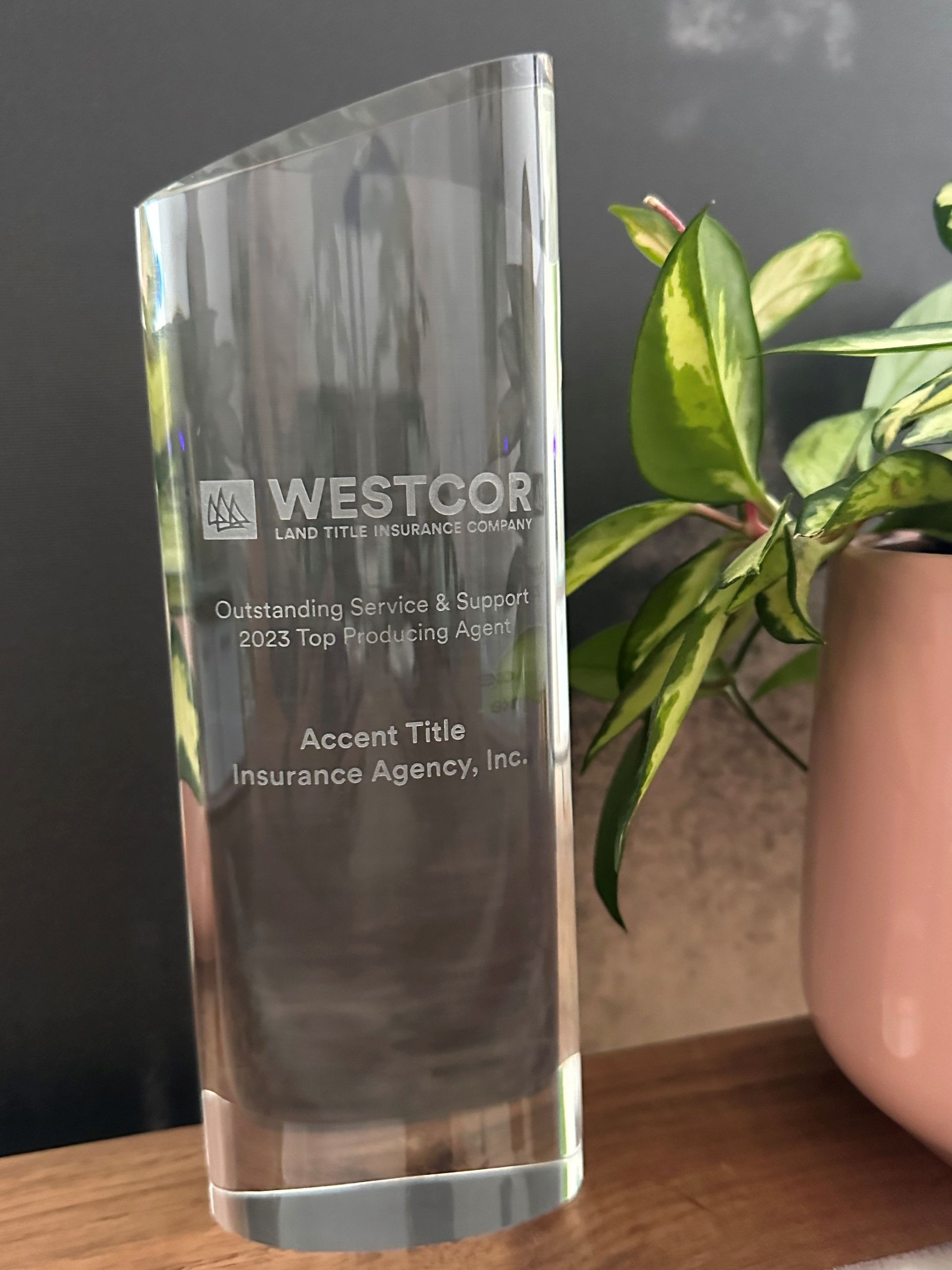 A glass trophy is sitting on a wooden table next to a potted plant.