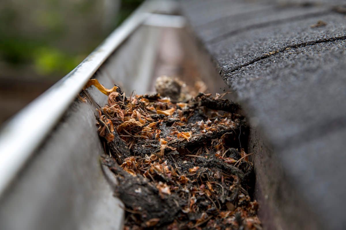 Gutter Cleaning Kansas City