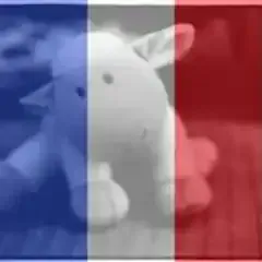 Un animal en peluche est assis devant un drapeau français.