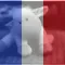 Un animal en peluche est assis devant un drapeau français.