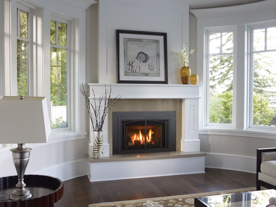 Gas insert by Regency