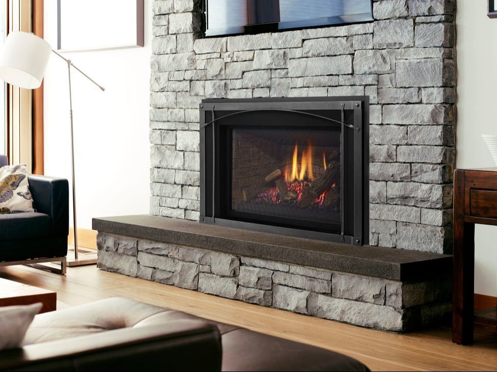 Gas insert by Regency