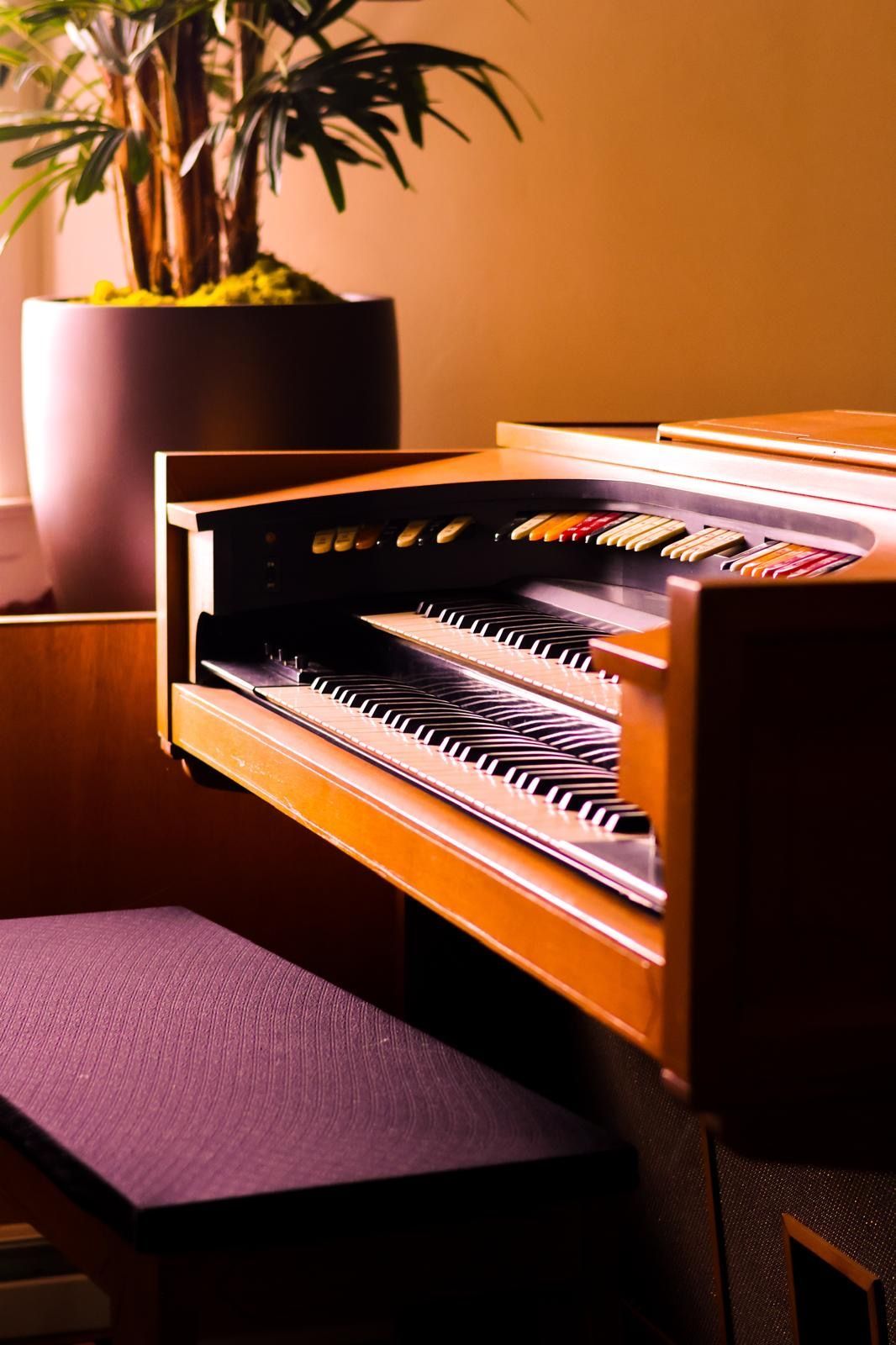 Organ with wooden speaker cabinet and purple bench in a warm-lit room, with a potted plant nearby