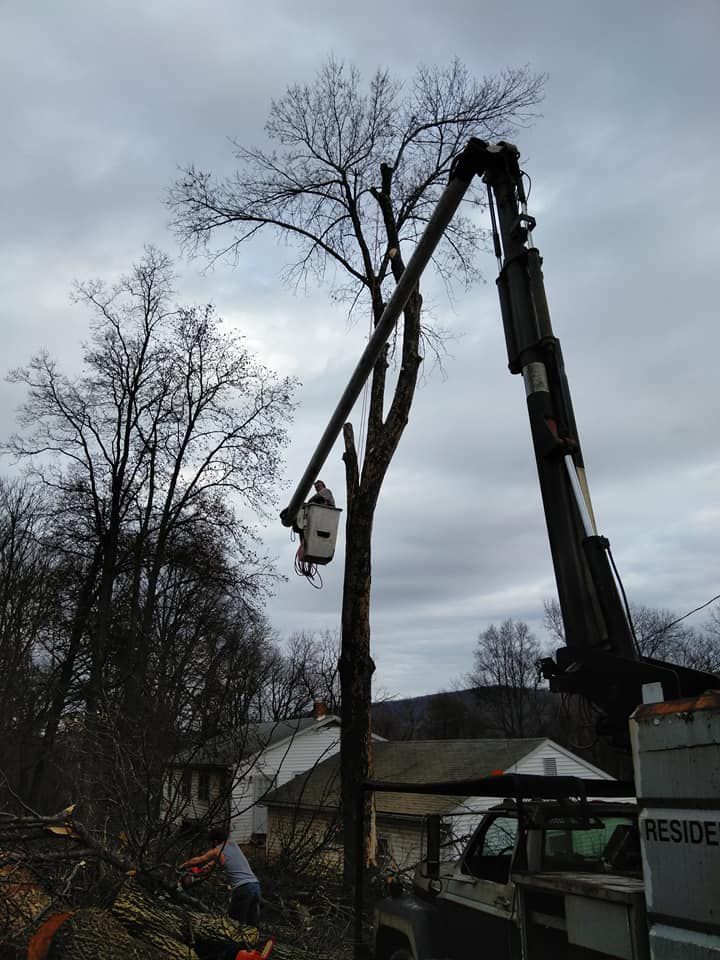 A crane is cutting a tree in front of a house