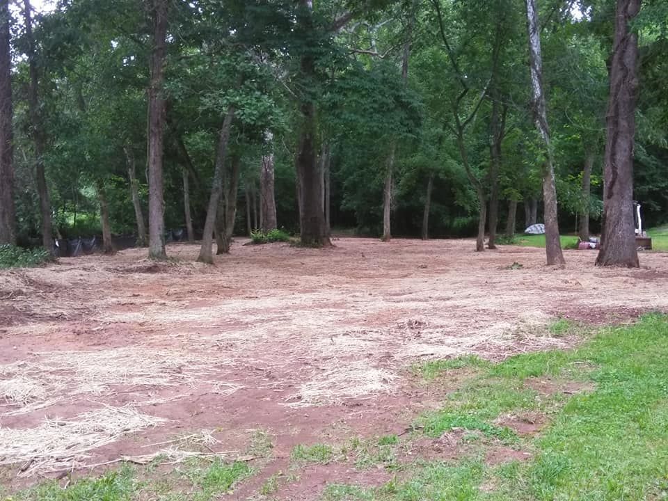 A dirt field in the middle of a forest with trees in the background.