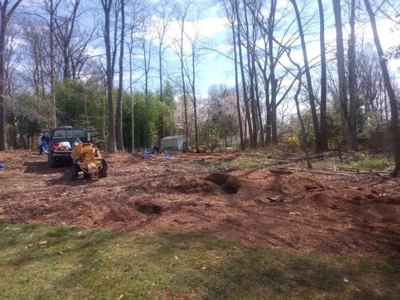 A jeep is parked in the middle of a dirt field surrounded by trees.
