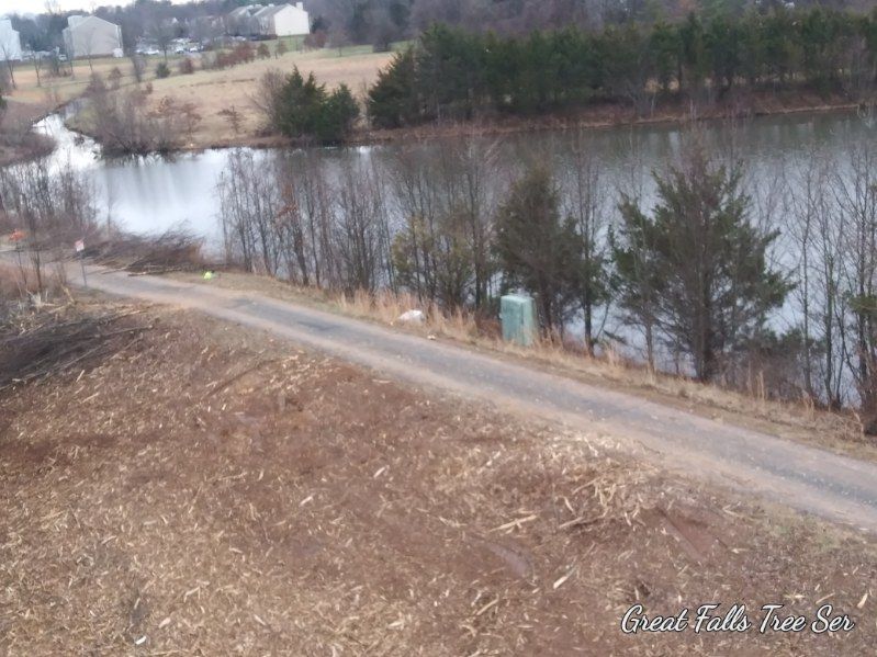 A dirt road leading to a lake surrounded by trees