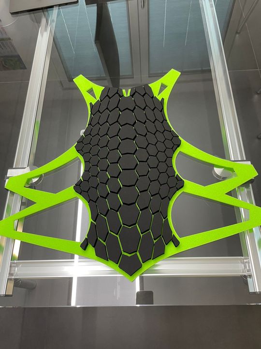 Dainese progetto