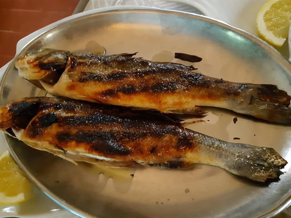 panino