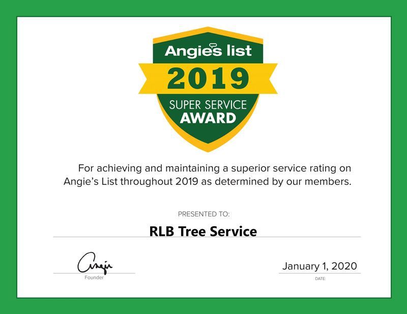 Angie’s List 2019 Super Service Award certificate for RLB Tree Service, green and gold