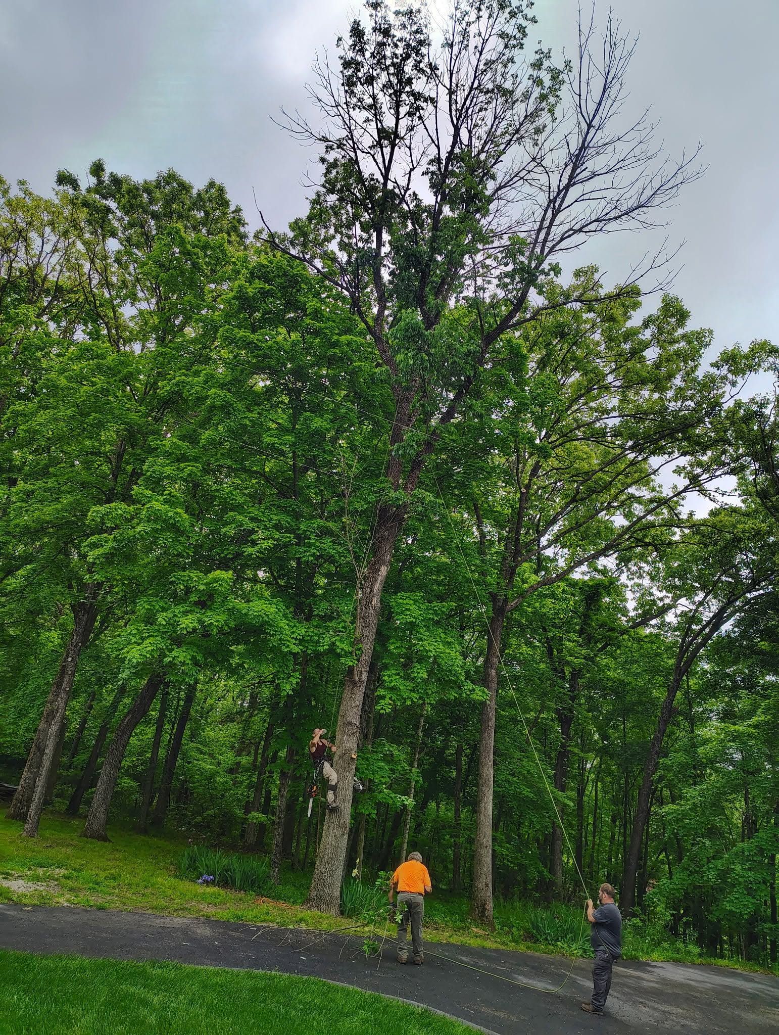 Two cyclists on a wet path in a lush green forest, one wearing an orange jacket.