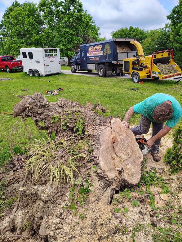 Worker sawing a large tree stump beside trucks and a wood chipper in a grassy yard