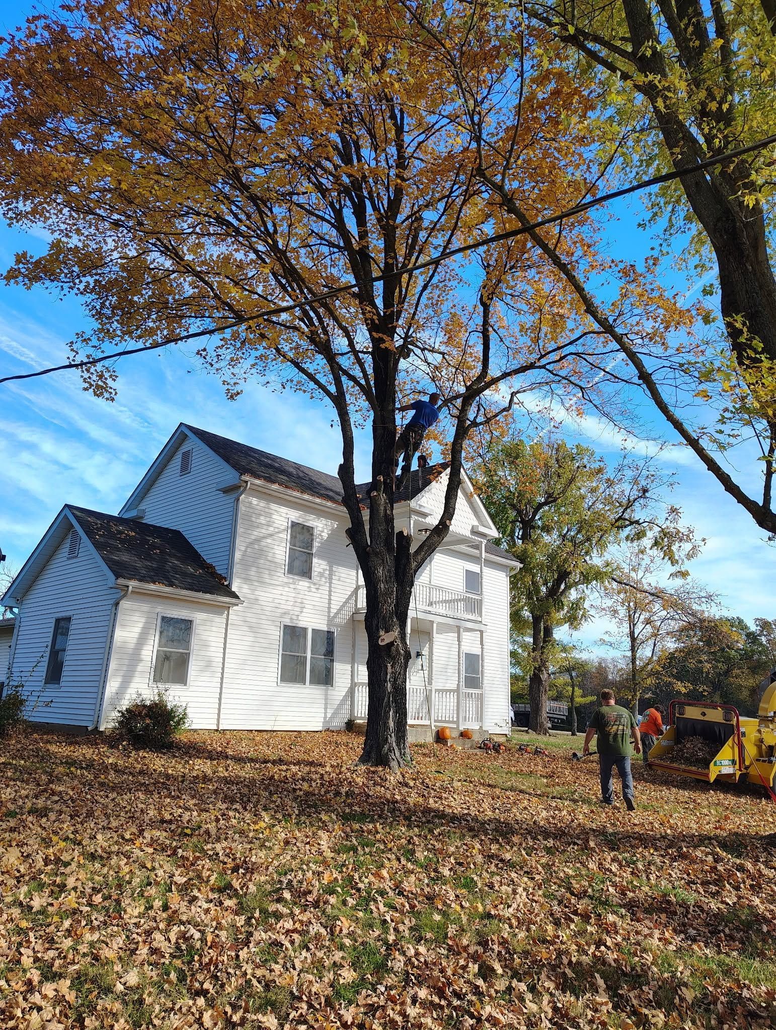 White house under autumn trees with fallen leaves; a person and yellow excavator at right.