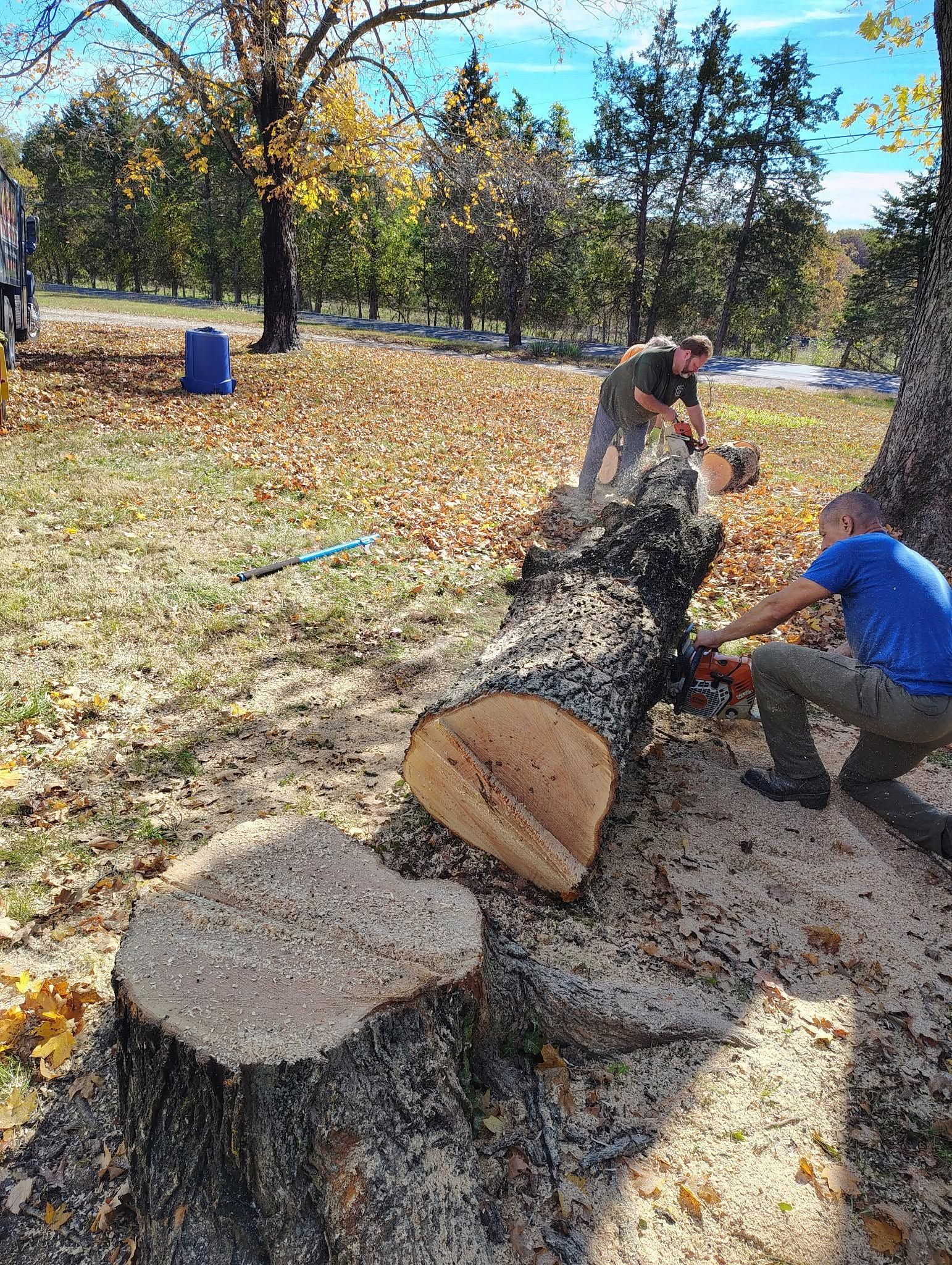 Two workers splitting a log with an axe outdoors beside tree stumps and autumn trees.