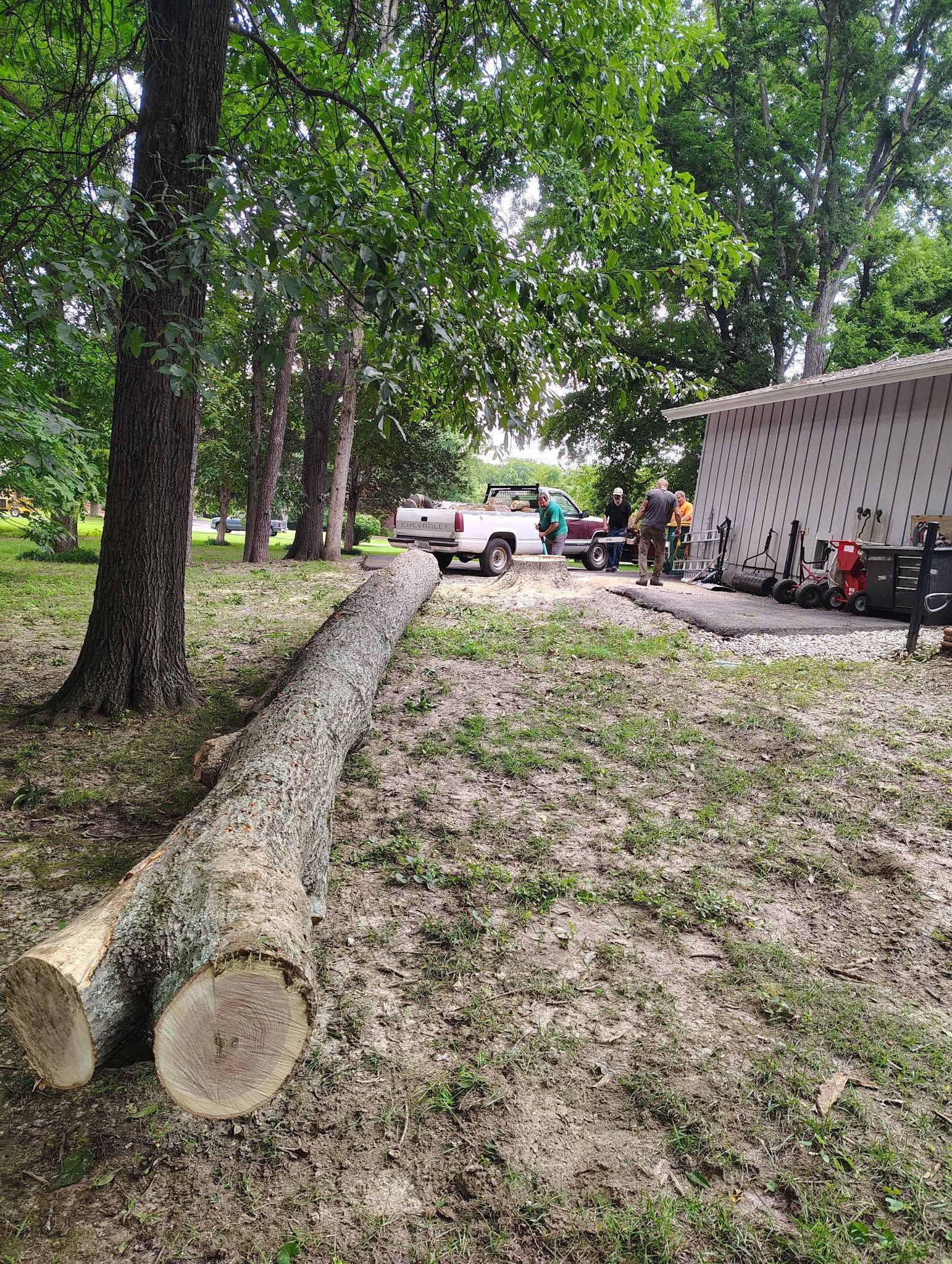 Rural yard with felled logs, trees, a white garage, and a parked pickup truck under leafy shade.