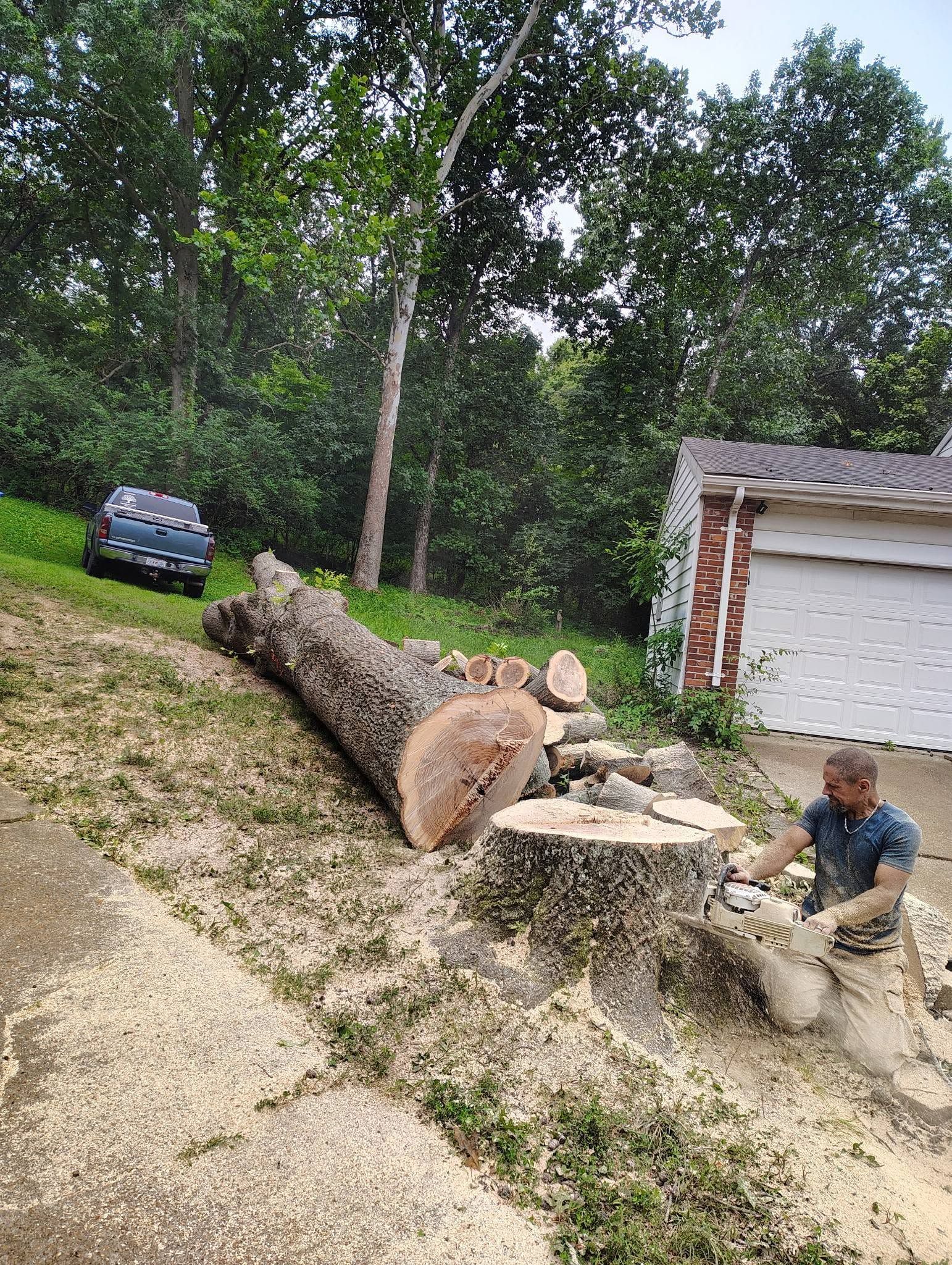 Tree being cut into logs on a sloped driveway beside a garage; worker crouches near the stump.