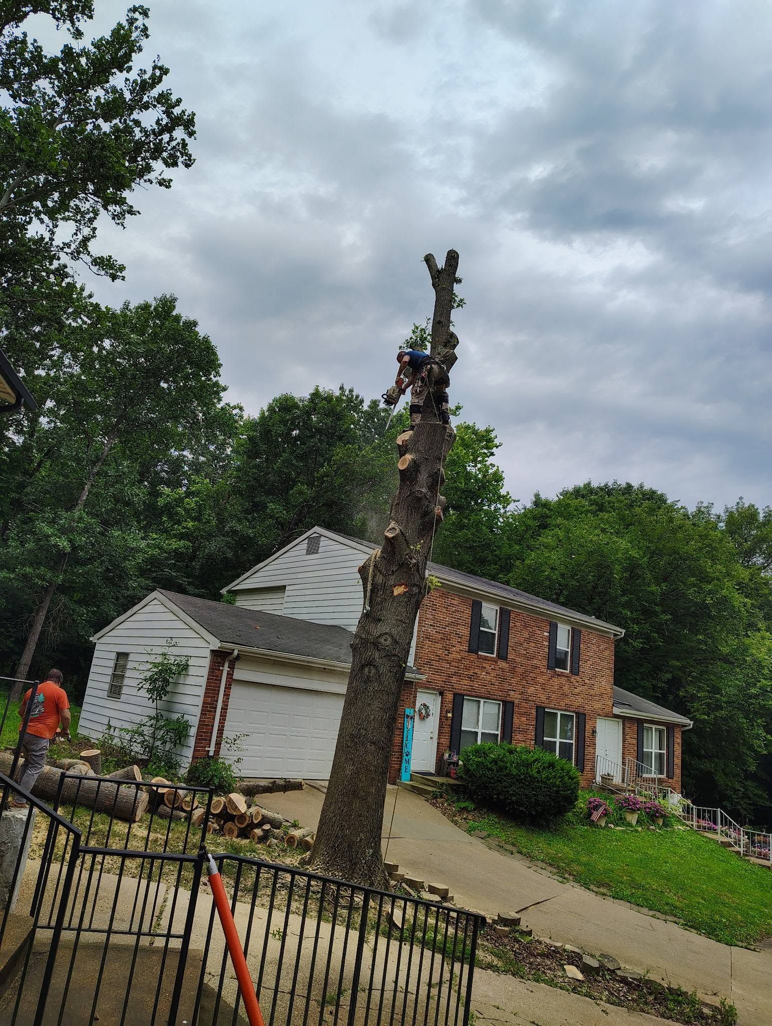 Brick house with white garage, damaged roof, and a fallen tree in the front yard under cloudy skies