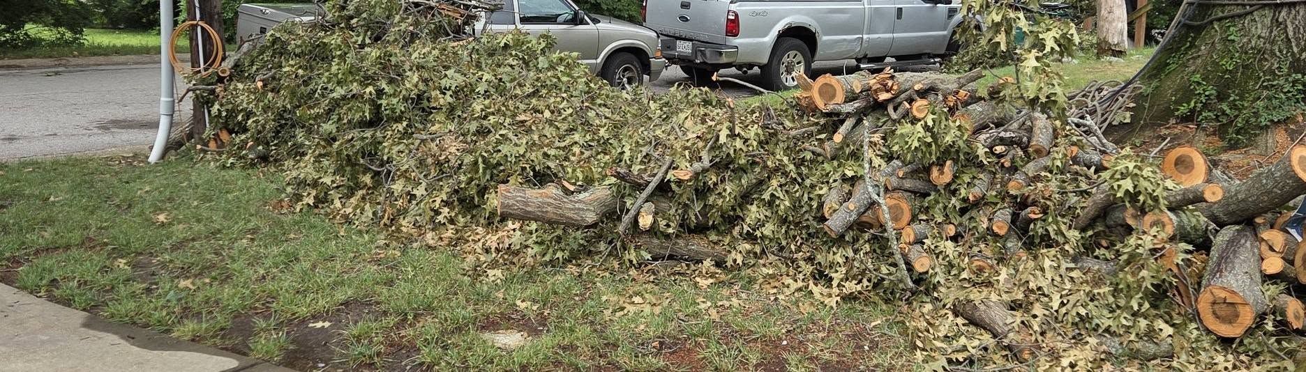 Piled tree branches and logs along a curb beside a parked silver car on a residential street