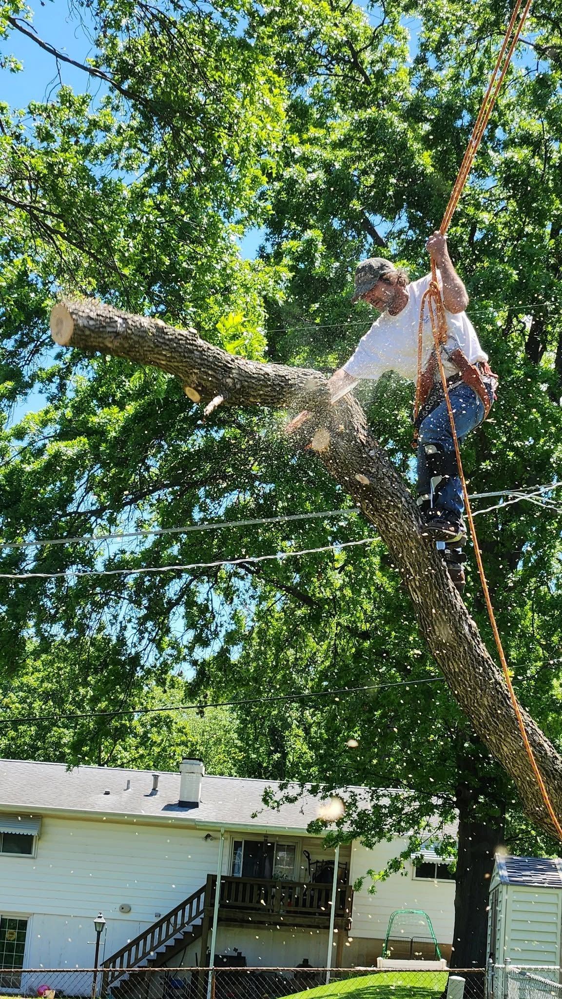 Worker trimming a large tree branch beside a white house on a sunny day