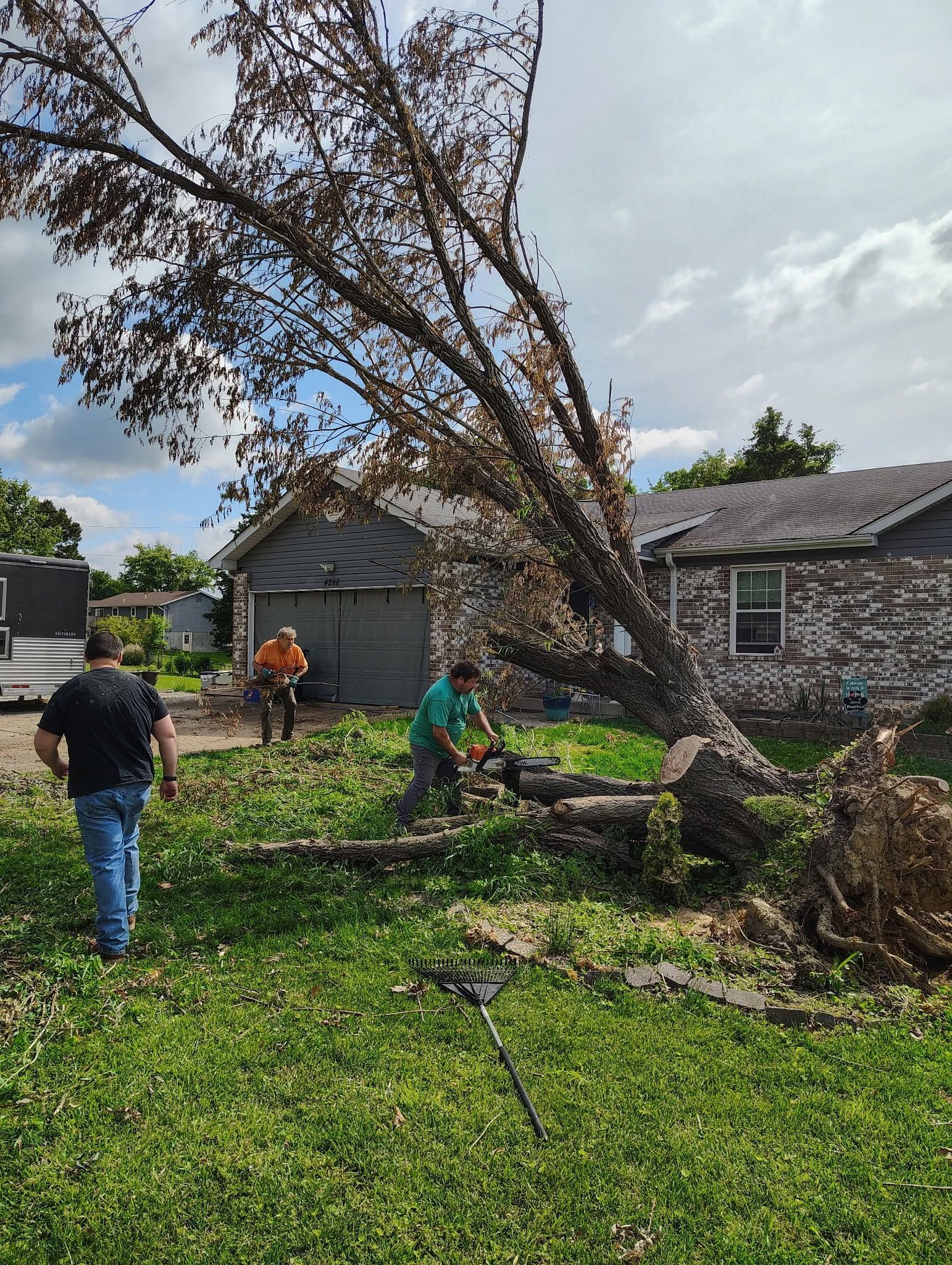 Tree fallen across suburban yard after storm, with people inspecting damage near a house.
