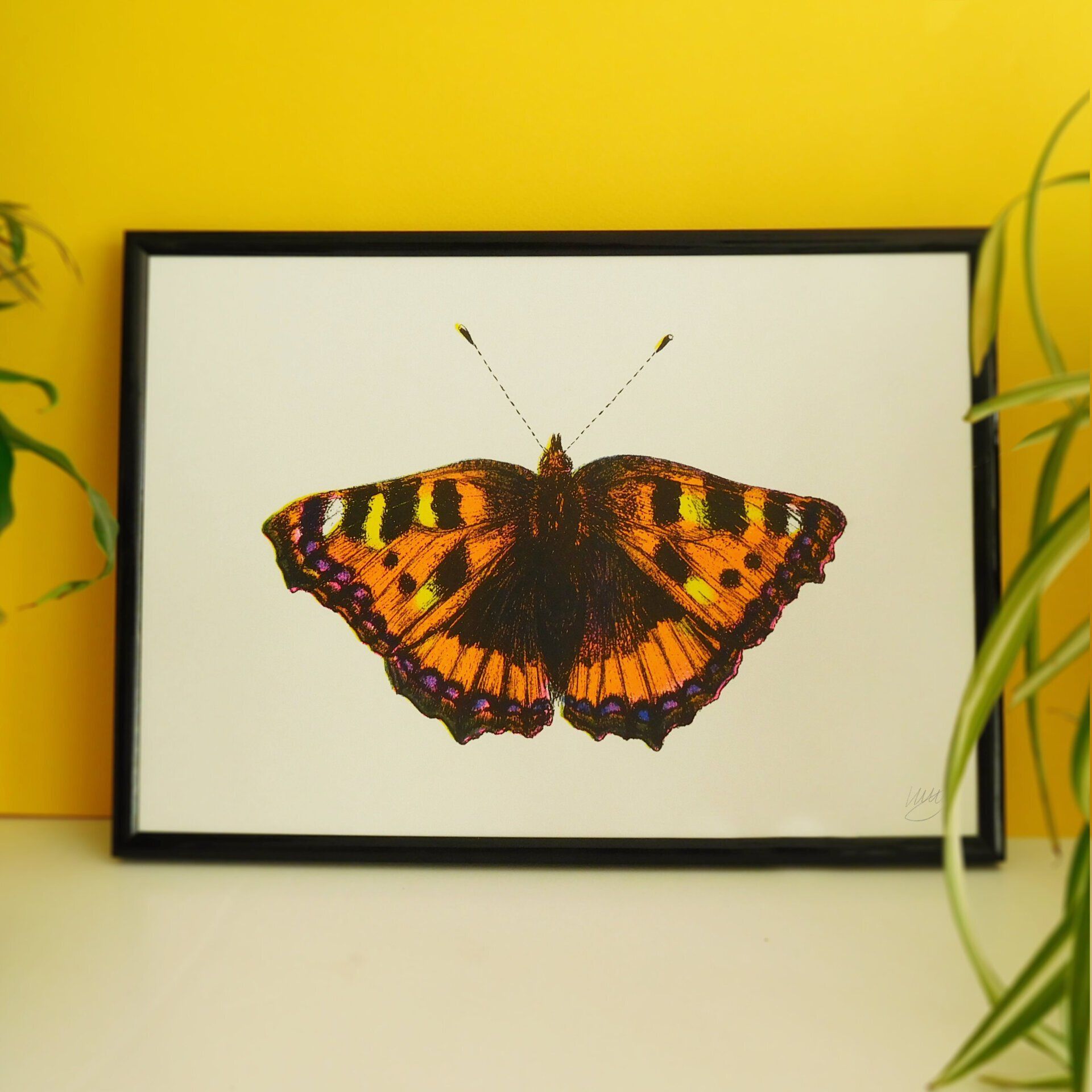 Nudibranch illustration risograph print