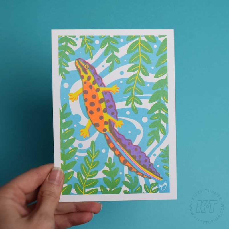 Colourful Newt risograph A6 postcard print