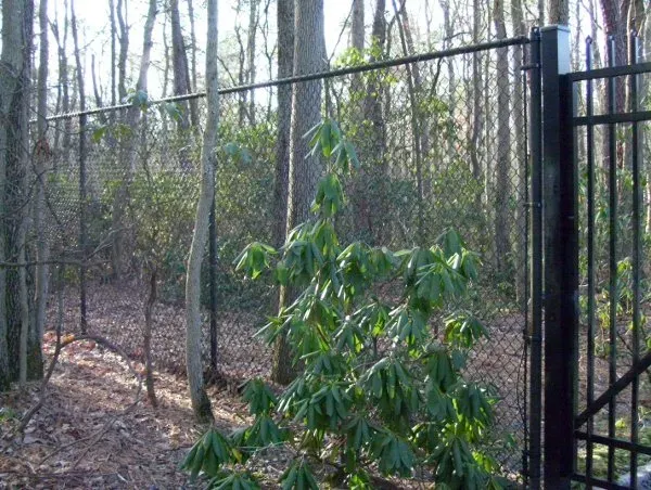 Chain Link Fence — Blue Anchor, NJ — Reyes Fence