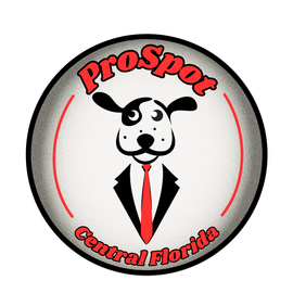 Neon-style logo with