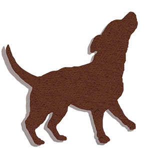 A silhouette of a brown dog standing on a white background A silhouette of a brown dog standing on a white background