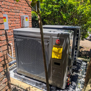 Outdoor HVAC unit beside a brick wall, with a young tree in front and greenery behind.